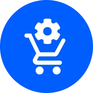 Ecommerce web development