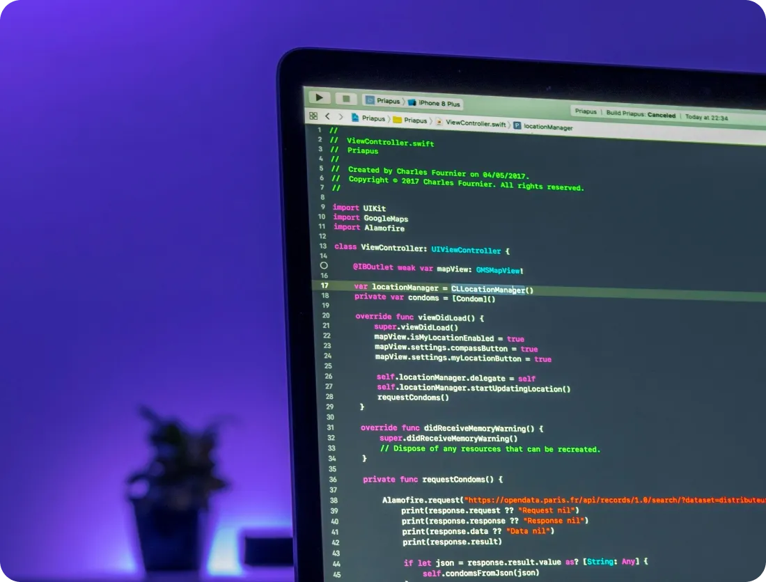 Which frontend developers can you hire from us