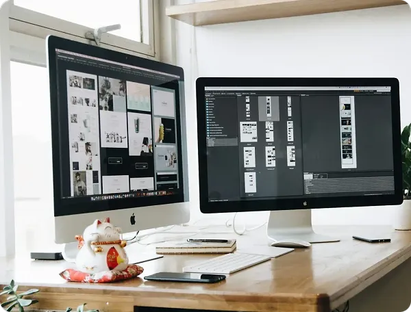 What is the primary focus of our custom ecommerce web design services What is the primary focus of our custom ecommerce web design services